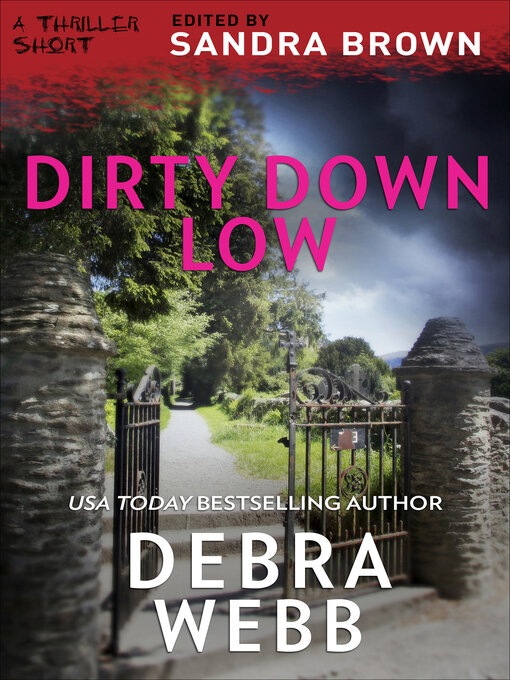 Cover image for Dirty Down Low
